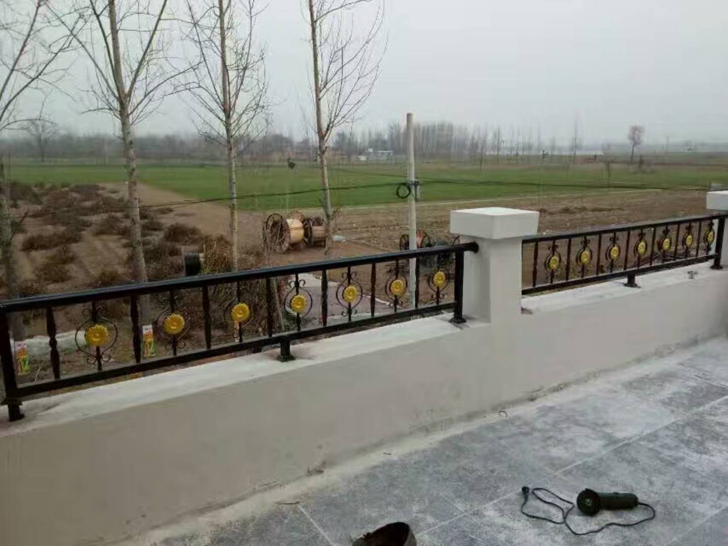铁艺护栏案例